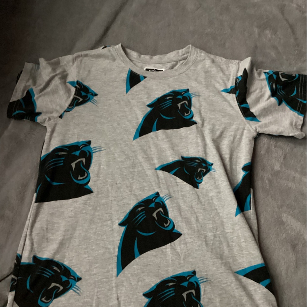 NFL Carolina Panthers Gray T-Shirt with Black and Blue Accents